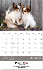 달력(카렌다),2026년 미주용 벽걸이 소형(11.5") 중철형/스프링형 카렌다... SKU:  MWC8CC11.5