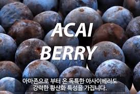 B1. 아사히 베리 {Acai Berry} - CNS 100% 브라질산 아사이베리 미전역 무료배송.dmzp