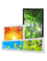 LED Light Boxes, Snap, 18 X 24 inch